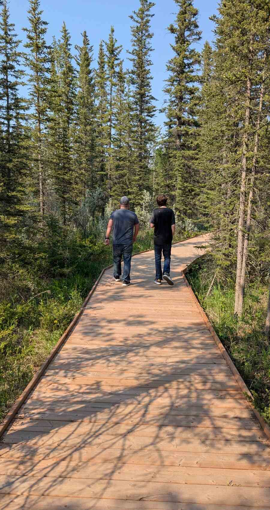 Two people walking a boardwalk path through sunlit pines